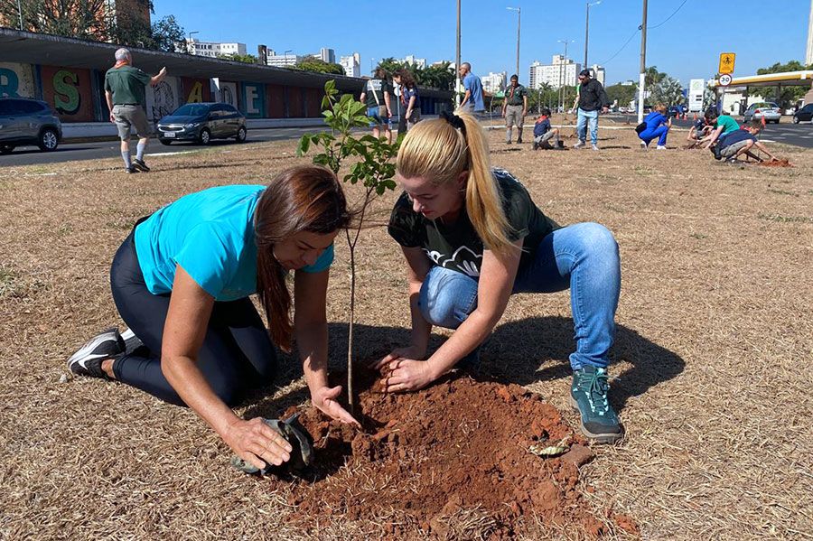 Câmara aprova programa municipal de arborização urbana