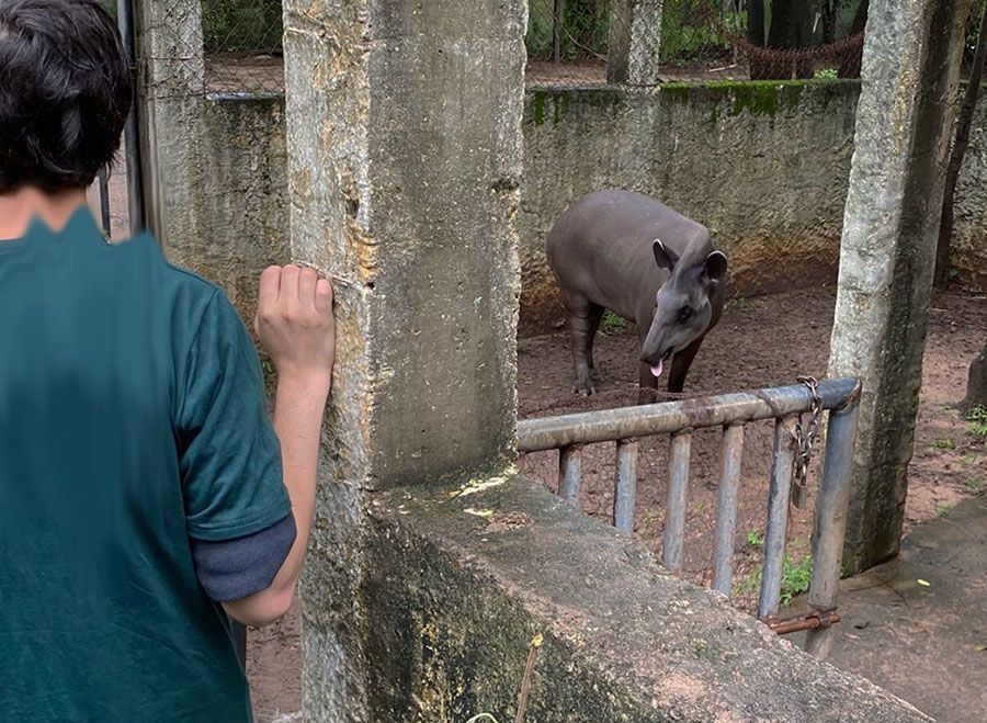 Comissão especial vai buscar melhorias para o Zoológico Municipal