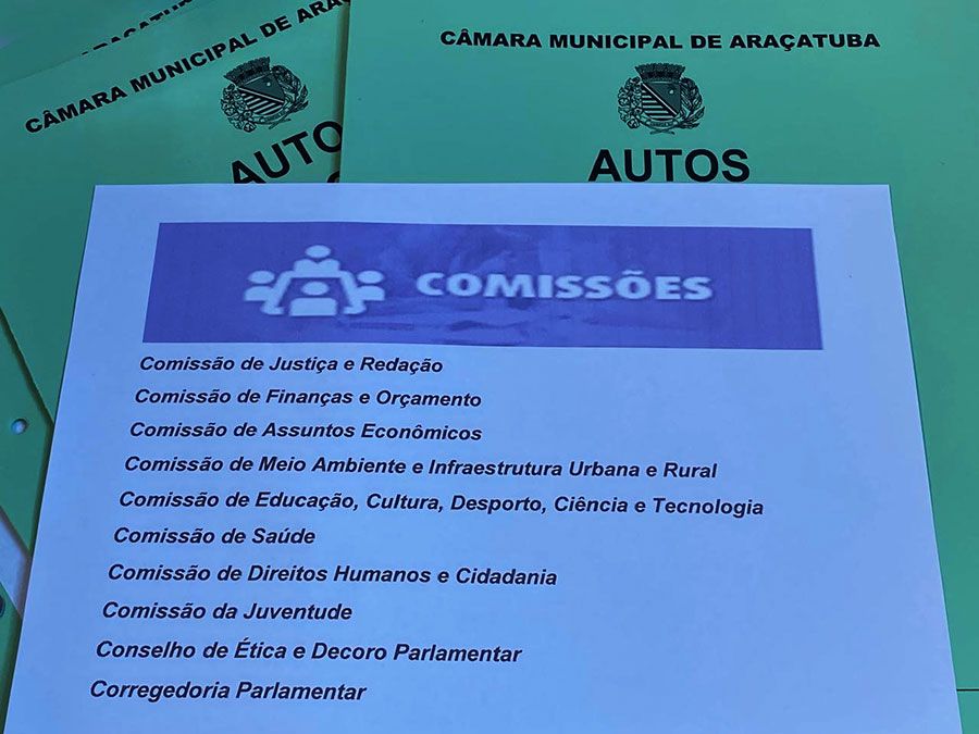 Entenda o papel das comissões na Câmara Municipal de Araçatuba