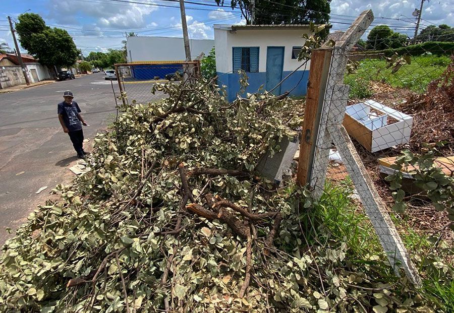 Funcionamento de ecopontos é tema de requerimento discutido na Câmara