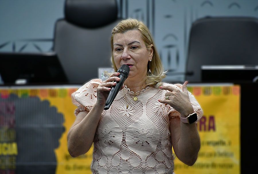 Plenário aprova convocação de secretária de Educação