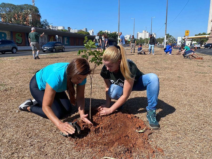 Plenário aprova programa de voluntariado para plantio de árvores
