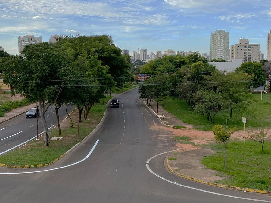 Plenário aprova proibição de plantio de árvores exóticas em áreas urbanas Plenário aprova proibição de plantio de árvores exóticas em áreas urbanas