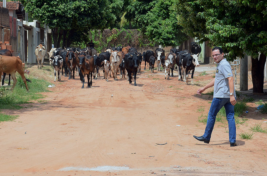 Vereador Rosaldo constata precariedade de ruas no Manoel Pires
