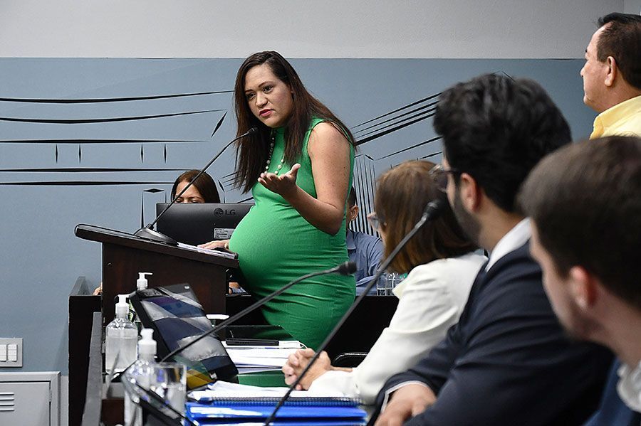 Rede de apoio à saúde mental materna ocupa tribuna da Câmara Rede de apoio à saúde mental materna ocupa tribuna da Câmara