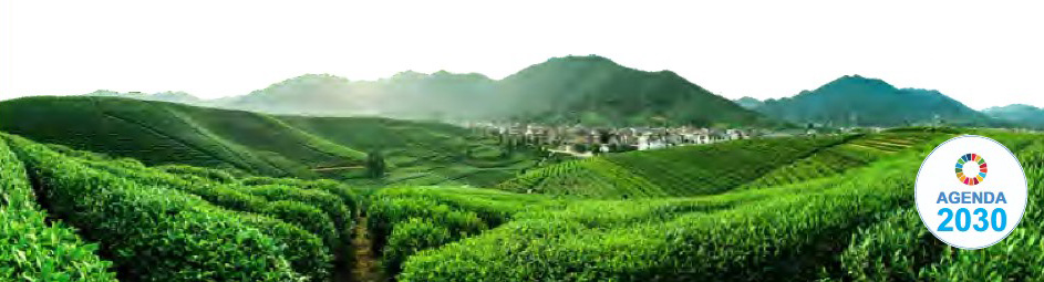 Fome zero e agricultura sustentável