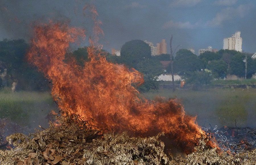 “Agosto Cinza” é aprovado na 23ª sessão ordinária