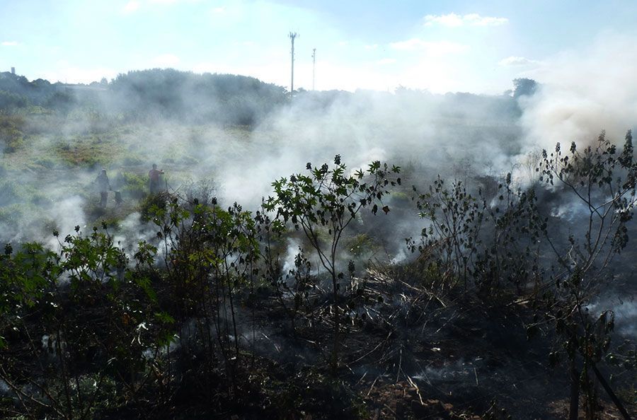 “Agosto Cinza” é item único da 23ª sessão ordinária